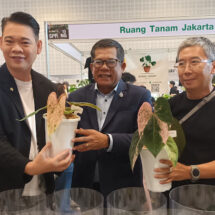 ไทยประกาศเป็นเบอร์ 1 ตลาดไม้แปลก-ไม้หายากโลก ชูเป็น Soft Power มูลค่าสูง ยกให้เป็น “Supercar” แห่งวงการพรรณไม้ ในงาน Bangkok International Exotic Plants Show & Sale ครั้งที่ 19 #Spring