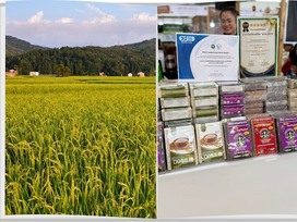 ต้นแบบการทำนาประณีต สู่ตลาดเฉพาะกลุ่ม กลุ่มวิสาหกิจชุมชนแปลงนาสะอาด กำแพงเพชร