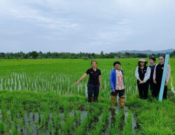 ศูนย์เมล็ดพันธุ์ข้าวลำปาง เดินหน้ายกระดับมาตรฐานข้าว ปี 69 พัฒนา 8 กลุ่มเกษตรกร–ตรวจเข้ม 22 ร้าน สร้างความมั่นใจเมล็ดพันธุ์คุณภาพ
